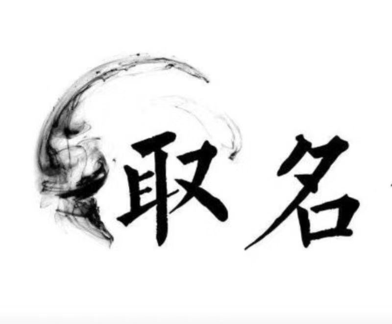  舞阳宝宝取名 大师一对一人工起名
